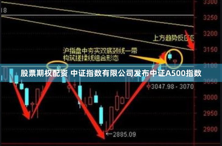 股票期权配资 中证指数有限公司发布中证A500指数