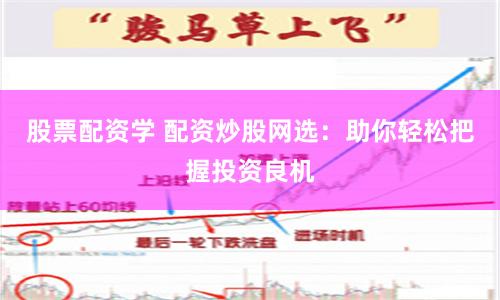 股票配资学 配资炒股网选：助你轻松把握投资良机