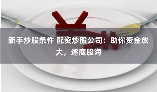 新手炒股条件 配资炒股公司：助你资金放大，逐鹿股海