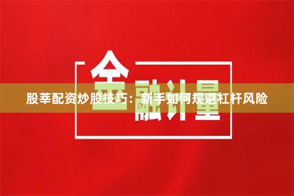 股莘配资炒股技巧：新手如何规避杠杆风险
